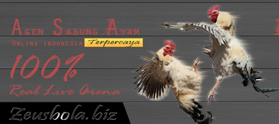 Agen Judi Sabung Ayam Online Terpercaya Di Indonesia