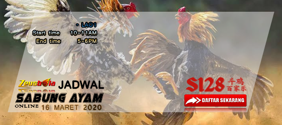 Jadwal Digmaan Sabung Ayam Online 16 Maret 2020